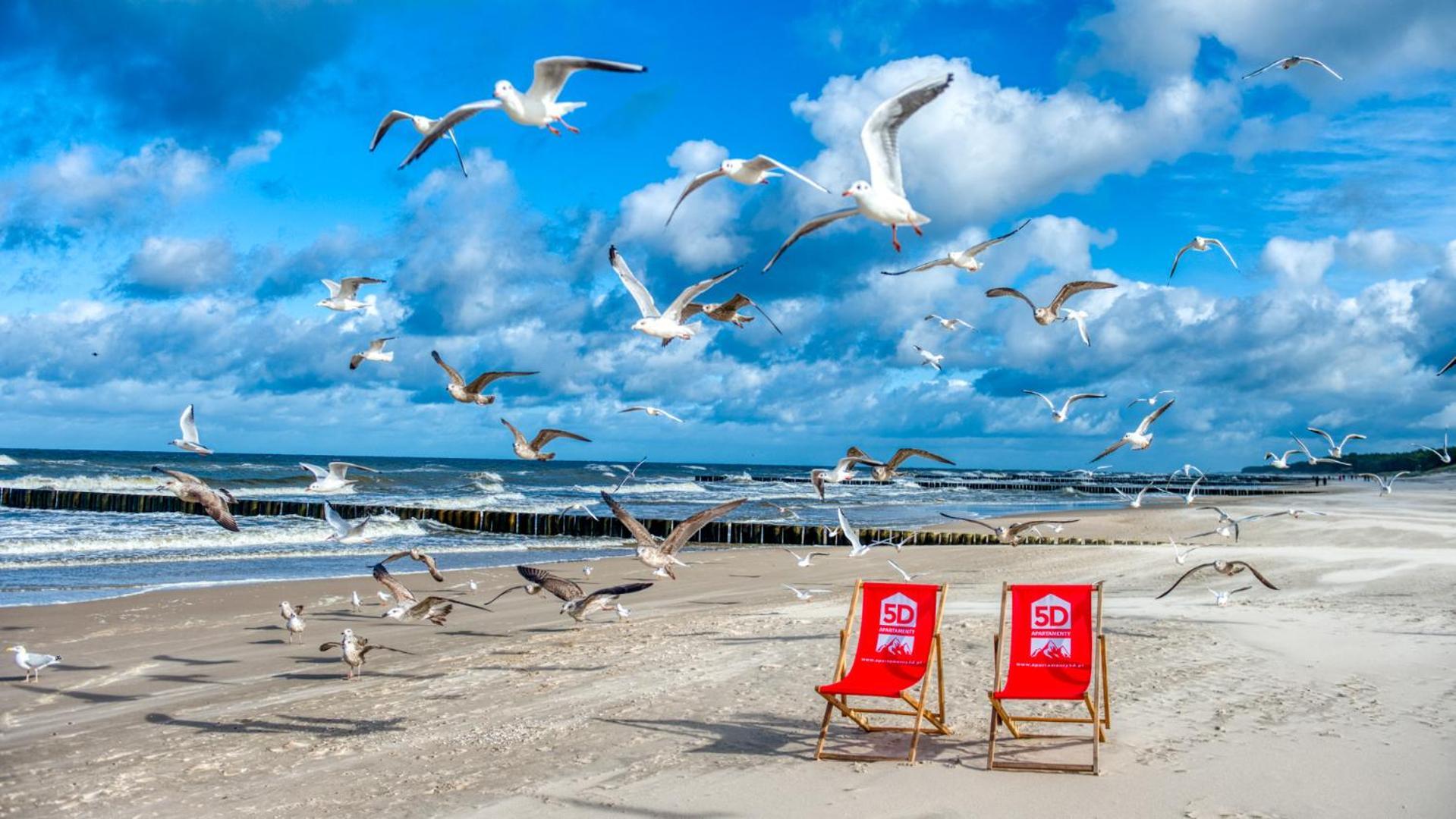Rezydencja Niechorze 314 Z Widokiem Na Morze - 5D Apartamenty Exteriér fotografie